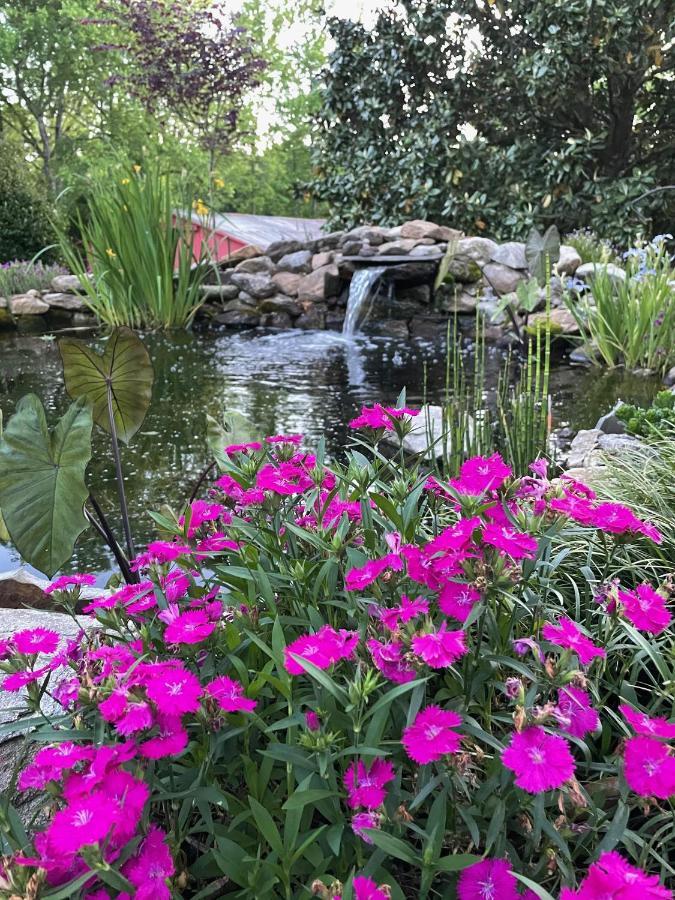 Gillen House Bed And Breakfast Maxeys 외부 사진