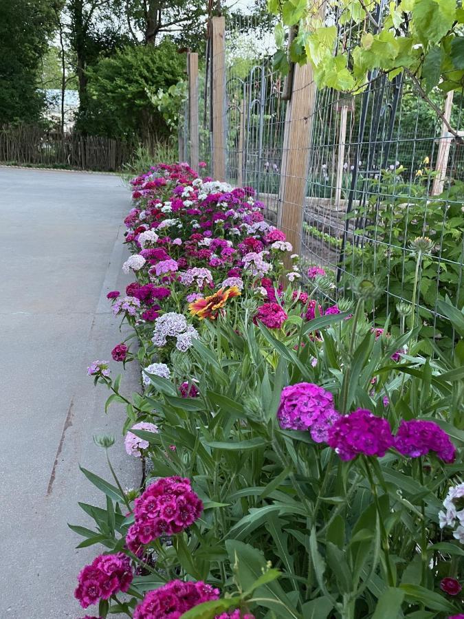 Gillen House Bed And Breakfast Maxeys 외부 사진